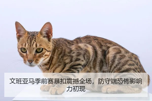 文班亚马季前赛暴扣震撼全场，防守端恐怖影响力初现