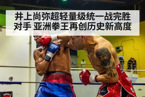 boxer knockout punch